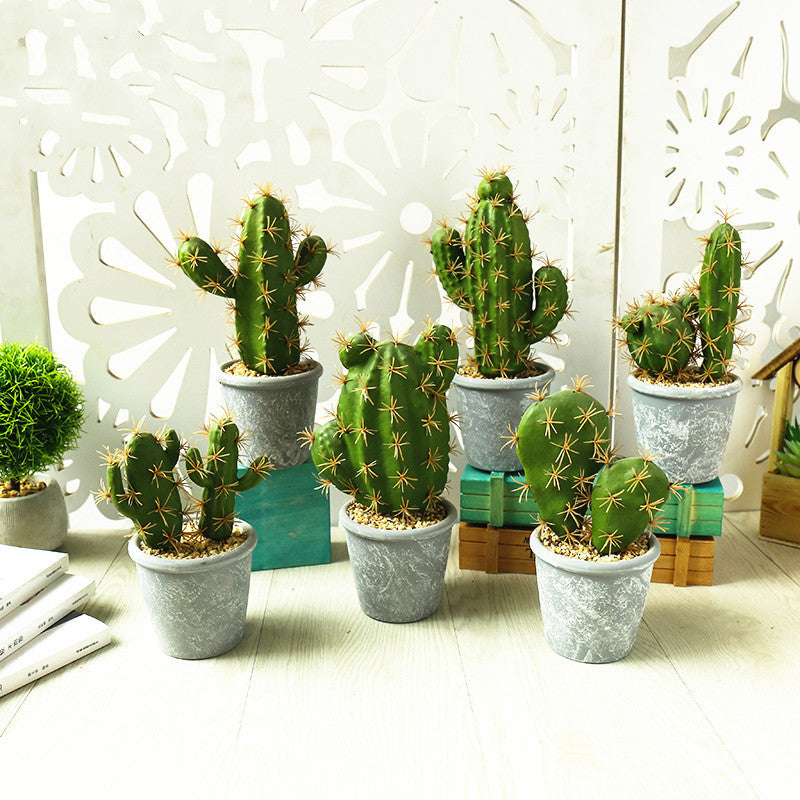 Simulation Of Tropical Succulents Prickly Pear Bonsai Curated Room Kits