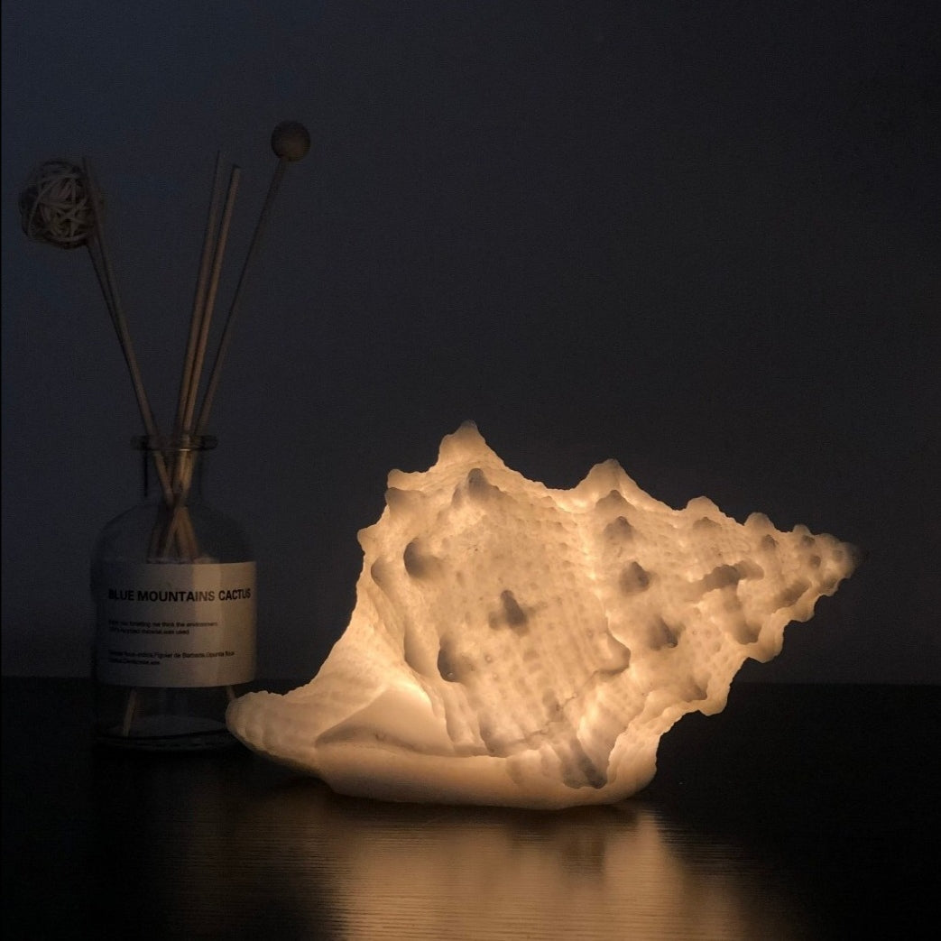 Home Nordic Conch Shell Light Curated Room Kits